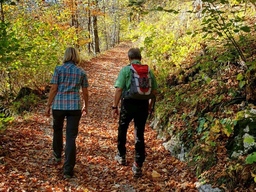 Hassbach-Runde | Landgasthof zum Fally