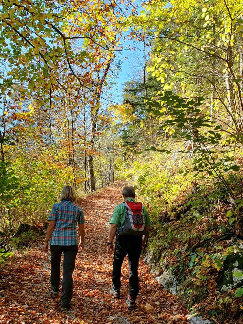 Wandern Herbstgenuss | Langasthof zum Fally