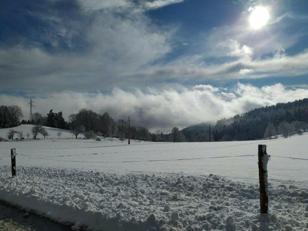 Winter in der Buckligen Welt | Landgasthof zum Fally | cFally