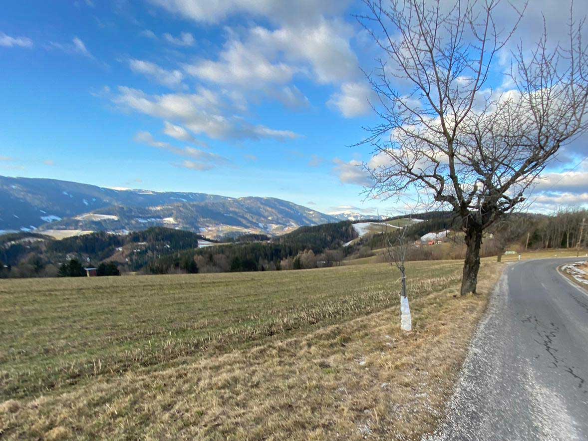 Winter in der Buckligen Welt | Landgasthof zum Fally | cFally