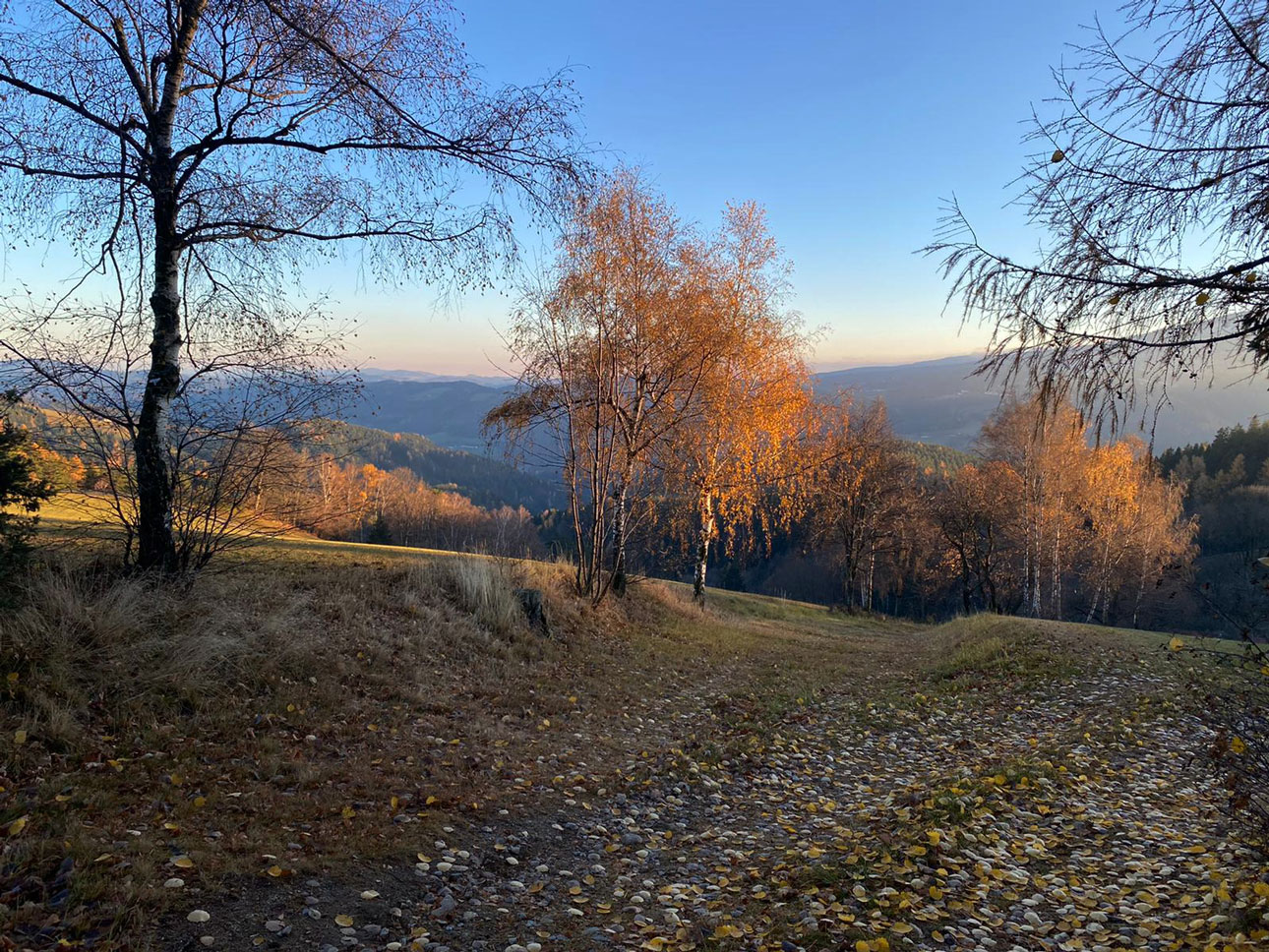 Spätherbst in der Buckligen Welt | Landgasthof zum Fally | cFally