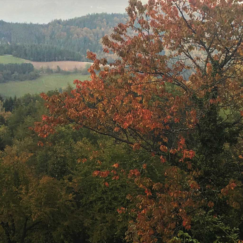 Herbststimmung_22_BW_qu